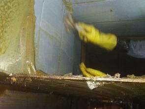 专业清洗油烟管道，天津保洁服务助力洁净生活