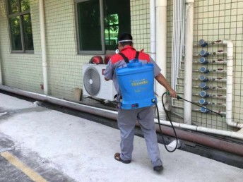 深圳臭虫防治 工厂、宿舍、办公室与家庭全面消杀指南